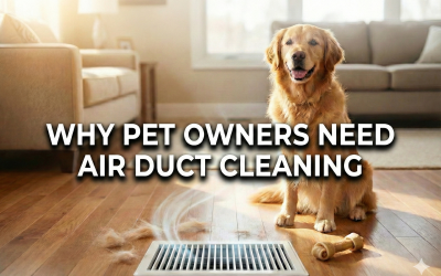 Why Air Duct Cleaning for Pet Owners is Essential for a Clean Home